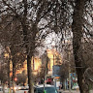 Meet your Posher, Lemuelle